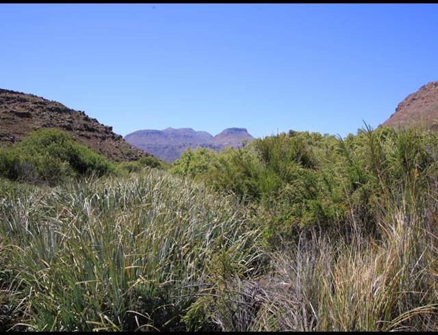 86HA FARM FOR SALE IN CERES RURAL